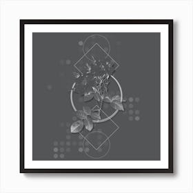 Vintage White Damask Rose Botanical with Line Motif and Dot Pattern in Ghost Gray n.0401 Art Print