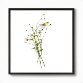 Yellow Wildflowers Art Print