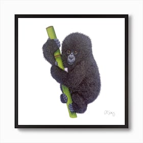 Baby Gorilla. 1 Art Print