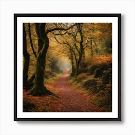 Path In The Woods 3 Art Print