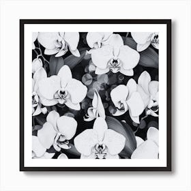 Orchids On Black Background Art Print