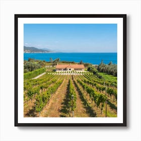 Vineyards In Greece Art Print