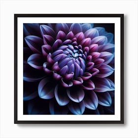 Purple Dahlia Flower Art Print