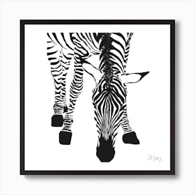 Zebra Art Print