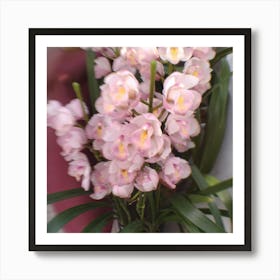 Pink Orchids Art Print