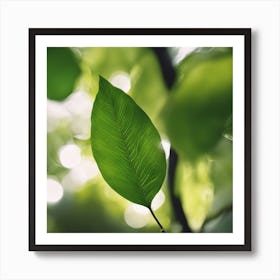 Green Leaf In The Forest Art Print