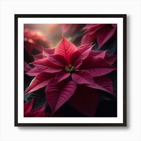 Poinsettia Flower Art Print