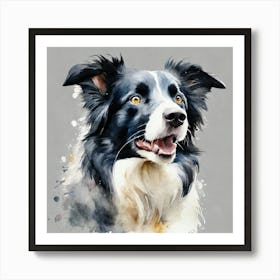 Border Collie Canvas Print Art Print