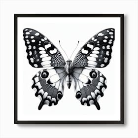 Butterfly Pencil Drawing III Art Print