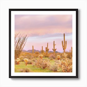 Pink Pastel Desert Views Art Print