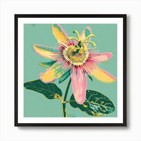 Passionflower Square Flower Illustration Art Print