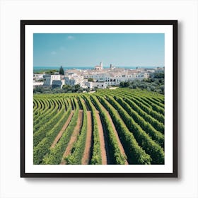 Vineyards In Sicily Art Print