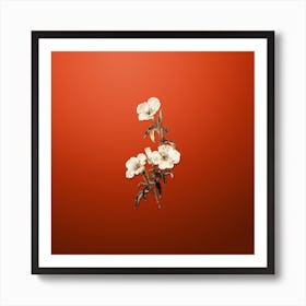 Gold Botanical Wine Stained Godetia Flower on Tomato Red n.1405 Art Print