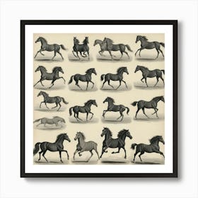 The Horse In Motion Animal Locomotion Art Print 2 Art Print