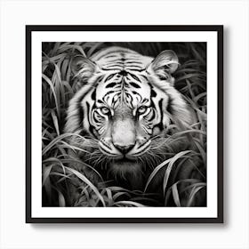 White Tiger In The Grass Art Print