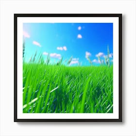 Grass Field With Blue Sky Art Print