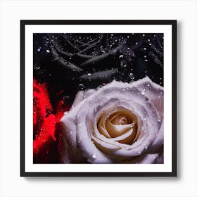 Beautiful red, white and black roses 1 Art Print