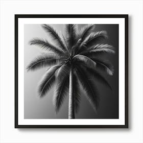 Black And White Palm Tree 2 Art Print