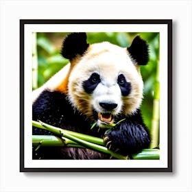 Panda Bear Eating Bamboo 5 Art Print