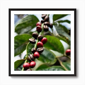 Coffee Beans On A Tree 15 Art Print