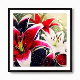 Beautiful red, white and black lilies 3 Art Print