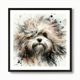 Shih Tzu Canvas Print Art Print