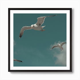 Seagulls In The Sky At The Beach  Pastel Colour Animal Photography Square Art Print