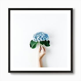 Blue Hydrangea Art Print