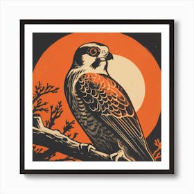 Retro Bird Lithograph American Kestrel 2 Art Print