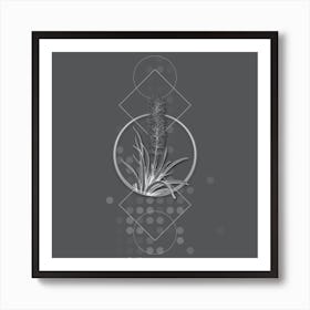 Vintage Snake Plant Botanical with Line Motif and Dot Pattern in Ghost Gray n.0301 Art Print