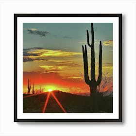 Sunset Over Saguaros Art Print