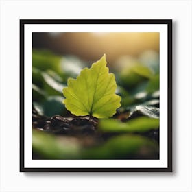 Green Leaf In The Sun Art Print