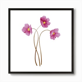 Three Pink Flowers Art Print