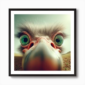 Ostrich Art Print