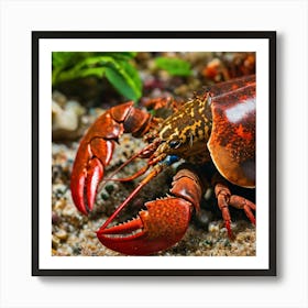 Lobster In The Sand Art Print