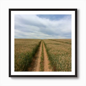 Dirt Road In A Wheat Field 1 Art Print