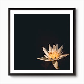 Flower Square Art Print