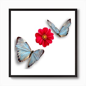 Two butterfly sitting on red flower design Affiche