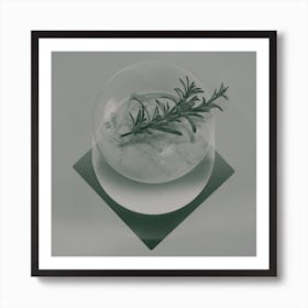 Rosemary Art Print