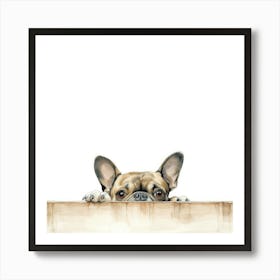 French Bulldog Peeking Over The Fence Art Print