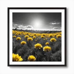 Sunflowers In The Field 1 Art Print