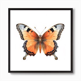 Butterfly 2 Art Print