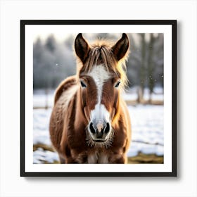 Horse Animal Grass Breeding Head Pasture Donkey Standing Farm Cute White Background Natu (7) Art Print