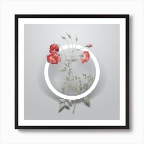 Vintage Red Rose Minimalist Botanical Geometric Circle on Soft Gray n.0328 Art Print