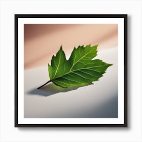 Leaf - Leaf Stock Videos & Royalty-Free Footage Art Print