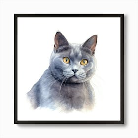 Chartreux Cat Portrait 1 Art Print