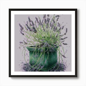 Lavender In A Pot 2 Art Print