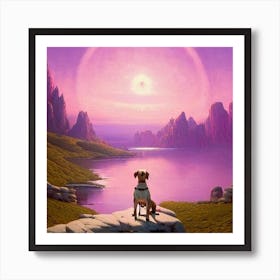 Dog On A Rock Art Print