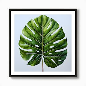 Monstera Leaf Art Print