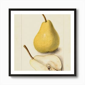 Fruit 4 Art Print